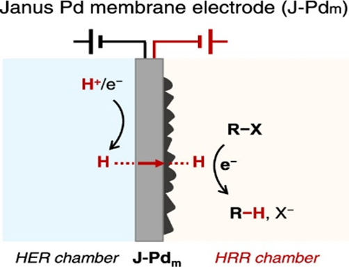 Representative image for Janus Membrane Electrode for Hydrodehalogenation